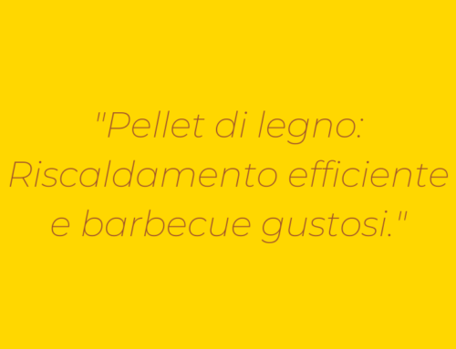 Dal Riscaldamento al Barbecue: Tutti gli utilizzi del pellet